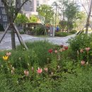 만덕시장 이미지