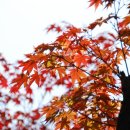 명지초등학교 이미지