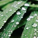 라인필의원 이미지