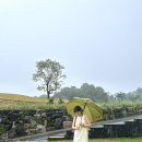 김밥천국 (종촌점) | 5월 1주 일상 이제 시작합니다^^*