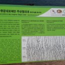 주상절리대 이미지