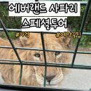 수랜드 | 에버랜드 사파리월드 스페셜투어 가격, 예약, 후기 총정리!!