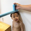 로둥이네 네이버블로그