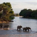 Y. ROAD 135 이미지