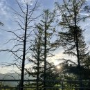 문복산캠핑장 이미지