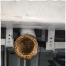 금성카서비스 이미지