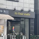 아일리플레르