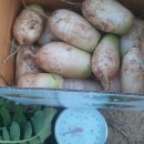 이일재농장 이미지