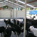 가랑농장 이미지