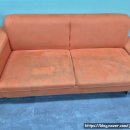 클린피부전문동물병원 이미지