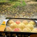 구드래119번길 무인텔 이미지