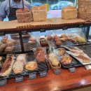 건강발효빵(화) 이미지