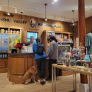 오하이오(ohio) 이미지