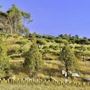 자연목장 이미지