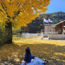 지경보건진료소 이미지