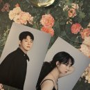 복실강아지 | 신중동역 미용실 "위슬리헤어" | 프로필 촬영 후기 + 단독 이벤트 소개