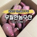 한농수산 | 우월한농수산 해남고구마 5KG 후기 품질 좋은 꿀고구마 추천