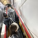 30 | 광주 무등산트레일런 30k 후기