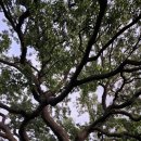 상수리공원 이미지