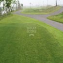 플라밍고C.C 이미지