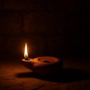 blessed farm | 감사라는 성스러운 선물