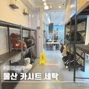 울산 카시트 세탁 퓨어베베 내돈내산 현장접수 후기