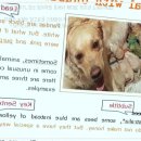 키즈빌어학원 이미지