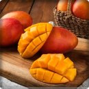 애플망고 이미지