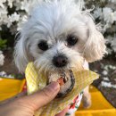 오리 어린이공원 이미지