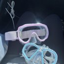 포구로2L | 제주 스노쿨링 숨은 명소 | 서귀포 스노쿨링 명소 ‘도리빨’ (주차, 정보, 준비물)