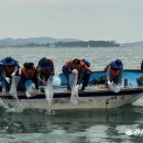 해양수산과학원 서부지부 자원조성연구소 | “전남해양수산과학원, 어린 대하 100만 마리 방류…수산자원 회복 박차”