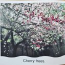 29 Treats From a Tree 이미지