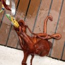 동해시-48 | 강릉 배낚시 씨엔조이호 문어낚시 4물 조황 후기 초보도 가능한 동해 낚시 체험