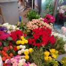 천송이플라워N 이미지