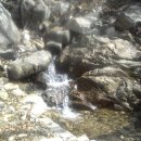 삼겹이땡기네