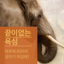 야생동물의료센터 이미지