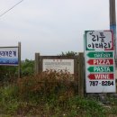 표선면 복지관 | 해비치호텔 후문 리틀이태리 비스트로 후기