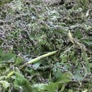 온석농장 이미지