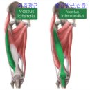 피티챌린지 이미지