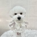 와니살롱 이미지