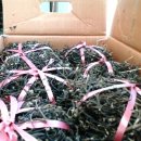 고사리 쉼터 이미지