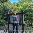 제주 도순리 녹나무 자생지 이미지