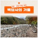 정각사입구 버스승강장 | 강원도 인제 백담사 셔틀버스이용 가을 여행 후기