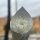 (주)젤코바 | 문경 가볼만한곳 시원한 수옥폭포 보고 젤코바 카페에서 힐링까지(feat. 괴산 호국원)