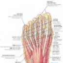 염기룡한의원 이미지