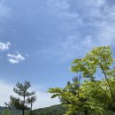 농업회사법인(주)호수 이미지