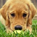 골든당구장 이미지