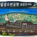 작곡가 박태준 흉상 이미지