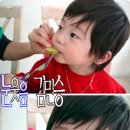 간지베베 Daum카페
