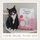 초초펫 | 응고력 좋은 고양이모래추천 러브잇 100% 브라질산 카사바 후기 선착순 반값세일 이벤트